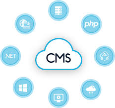 cms website development