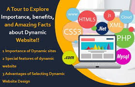 dynamic web design