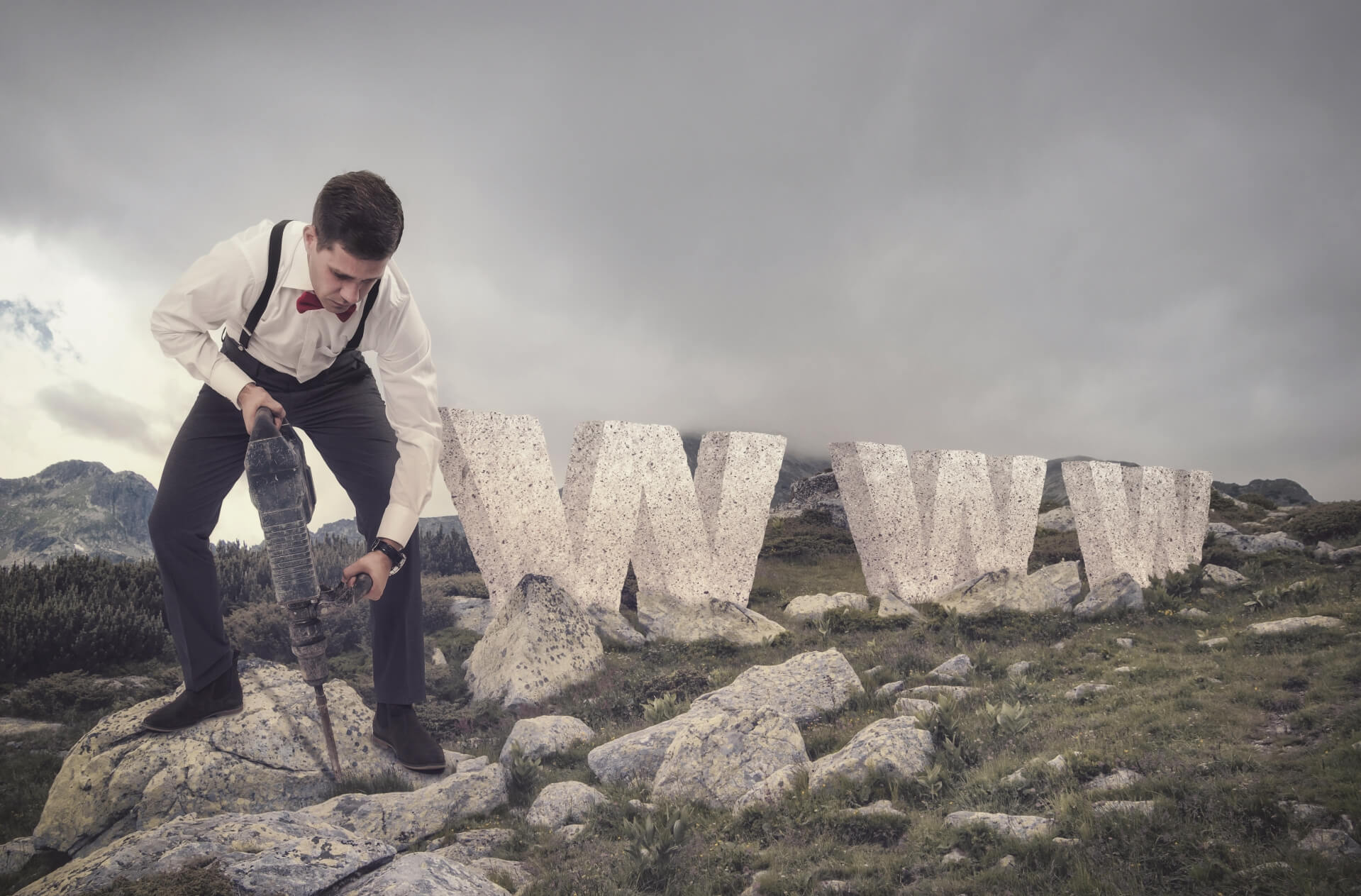 looking for web designer